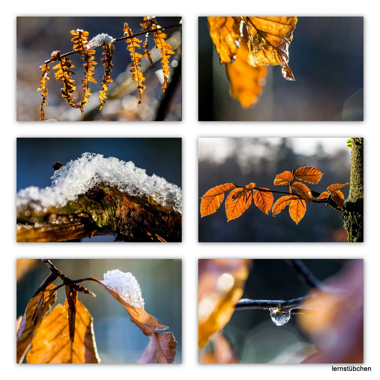 ein winterlicher Gruß
